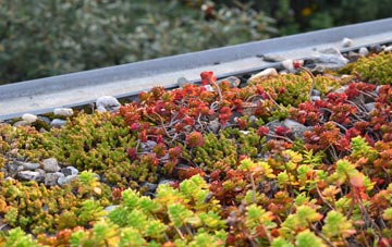 the cost of Boughton Green green roof installation