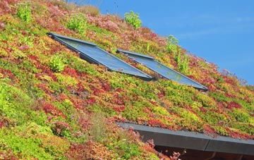Boughton Green living roof systems