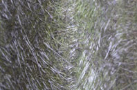 Boughton Green fibreglass roof work